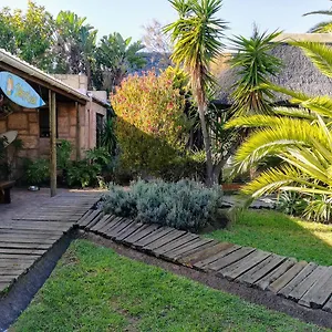 Saltycrax Backpackers And Surf , Bloubergstrand South Africa